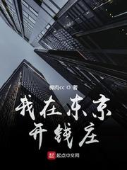 我在东京开钱庄顶点