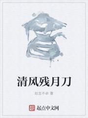 清风月影什么意思