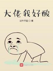 我是大佬视频