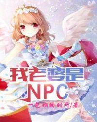 我老婆是npc 赘婿