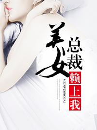 美女总裁赖上我许梦瑶免费阅读