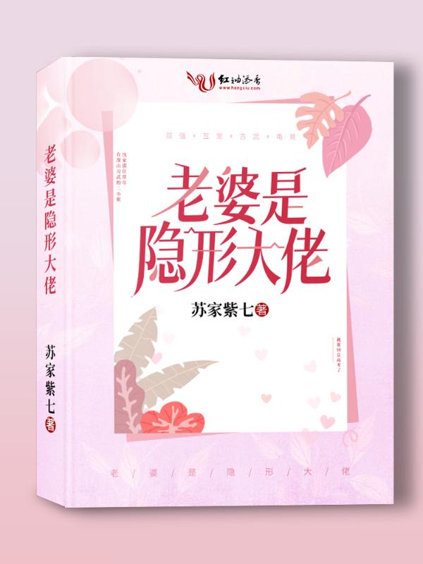 我的老婆是隐形大佬