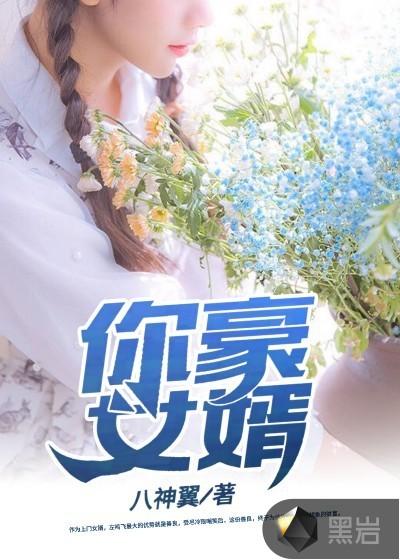 摩登女婿人物介绍