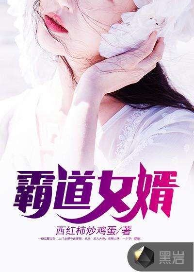 女老板的霸道女婿