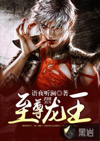 至尊龙王沈风