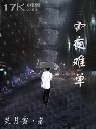 雨夜难入梦