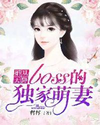 婚从天降boss的独家萌妻黛丝