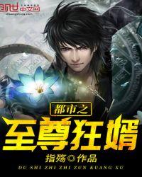 都市之至尊狂婿txt