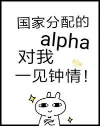 国家分配的alpha对我一见钟情完整版