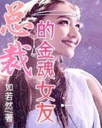 我的总裁女友破解版