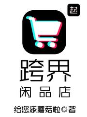 跨界闲品店txt八零