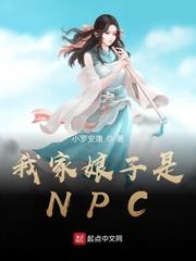 我家娘子是npc作者罗扇轻缣