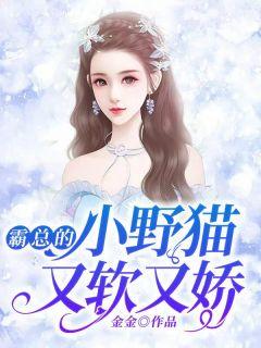 女主颜洛诗男主寒冰澈