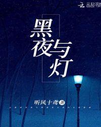 夜与灯光