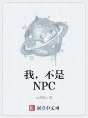 我不是npc作文