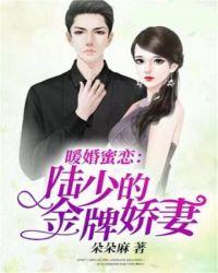 陆少的暖婚新妻怎么样