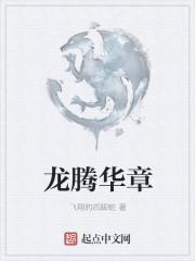 龙腾华创科技有限公司