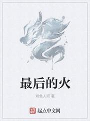 最后的火柴人大逃生破解版