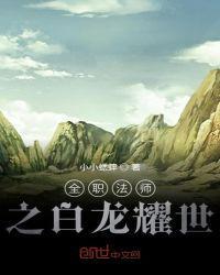 全职法师之白龙耀世顶点