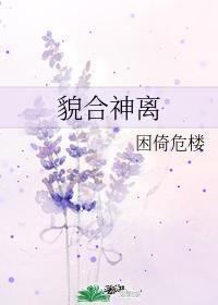 貌合神离的一对夫妻是什么意思