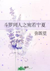 斗罗同人之宛若宁夏作者弥既望