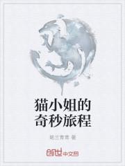 猫小姐怎么样