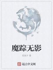 魔影无踪2在线观看