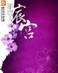 宸宫全文免费阅读