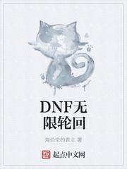 dnf轮回史诗属性