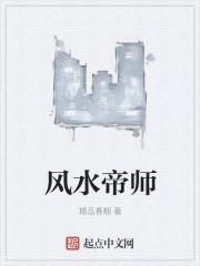 风水帝师阅读全文