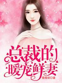 总裁的暖婚鲜妻免费