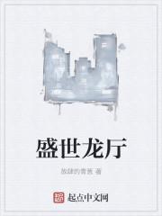 盛世龙航空器