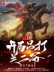 三国开局吊打关二爷飞卢