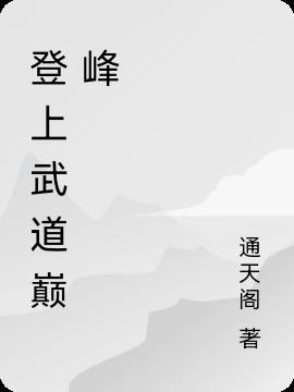 武道巅峰什么水平