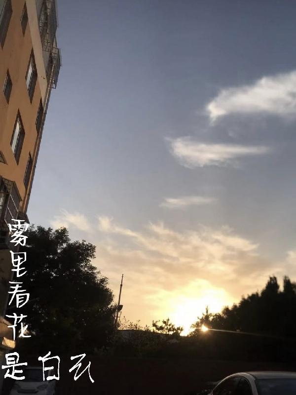 雾里看花是什么意思