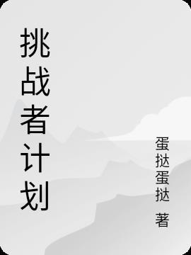 挑战者什么意思?