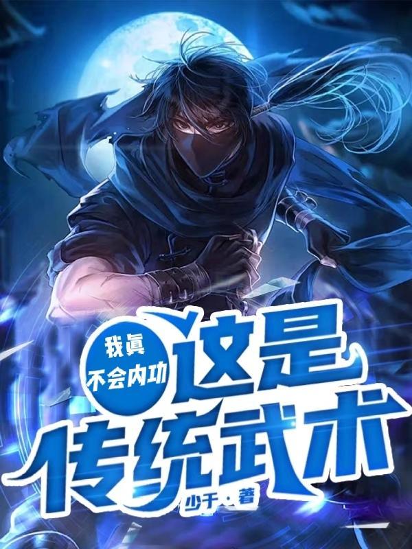 我不会武功讲的什么