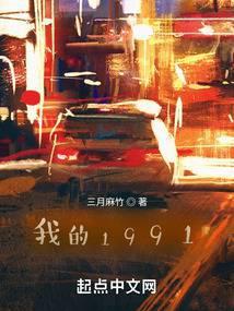 我的1991无错