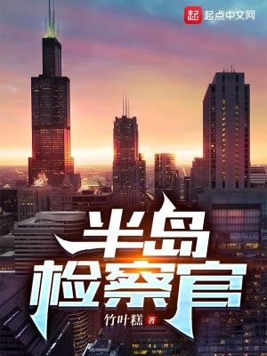 半岛检察官多少字