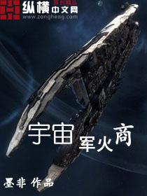 成了宇宙军火商