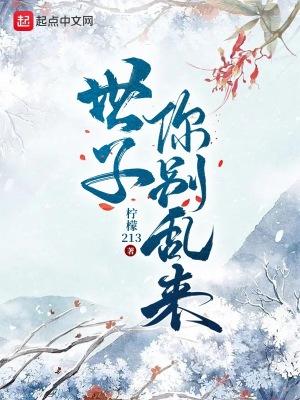 世子你别乱来无广告