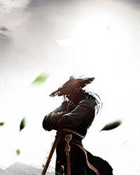 病美人师尊洗白了吗 穿书