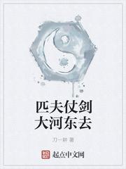 匹夫仗剑大河东去太监了