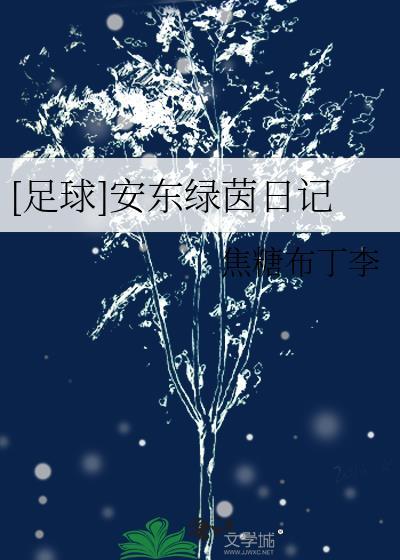 足球安东绿茵日记焦糖布丁笔趣阁