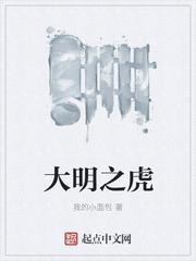 大明之虎无错版