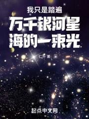 我只是踏遍万千银河星海的一束光歌词