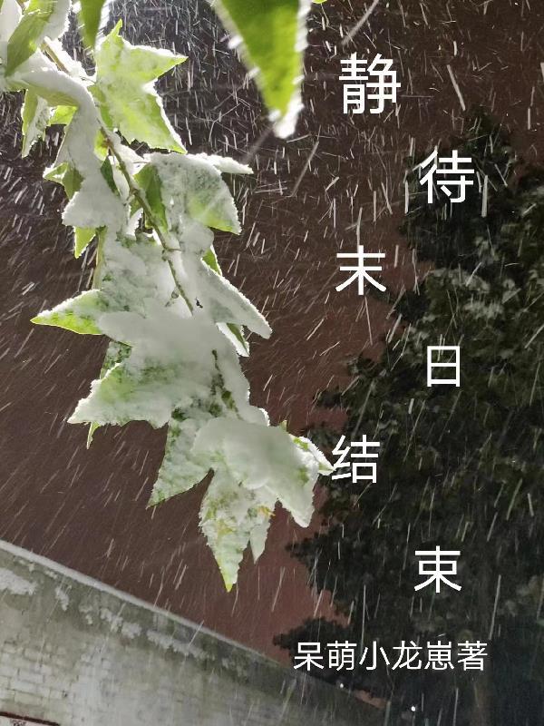 末日的结束(上)