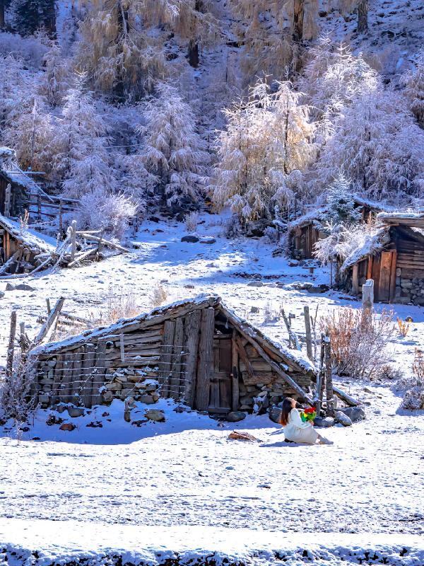 河住江帆水倒流