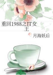 重回1988之it女王笔趣阁