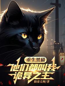 主角叫黑猫的